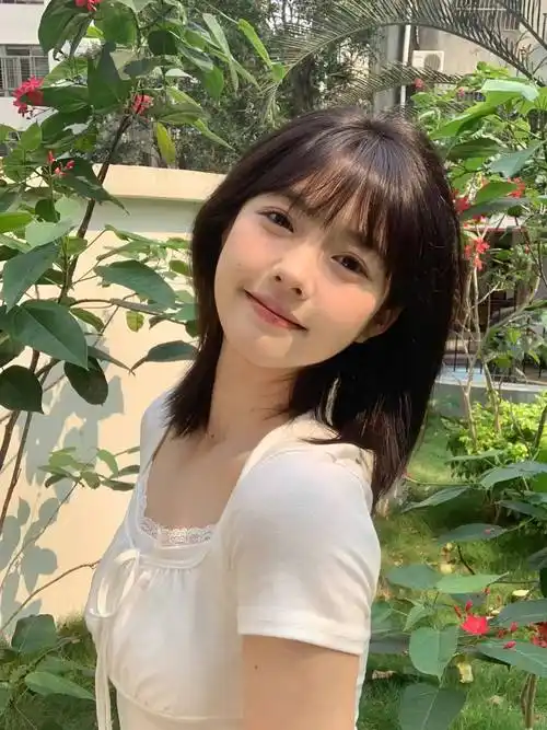 如何用蜘蛛池推送页面结构变更？