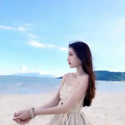 蜘蛛池中的IP地址轮换策略