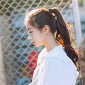 网站降权后，蜘蛛池还能用吗？